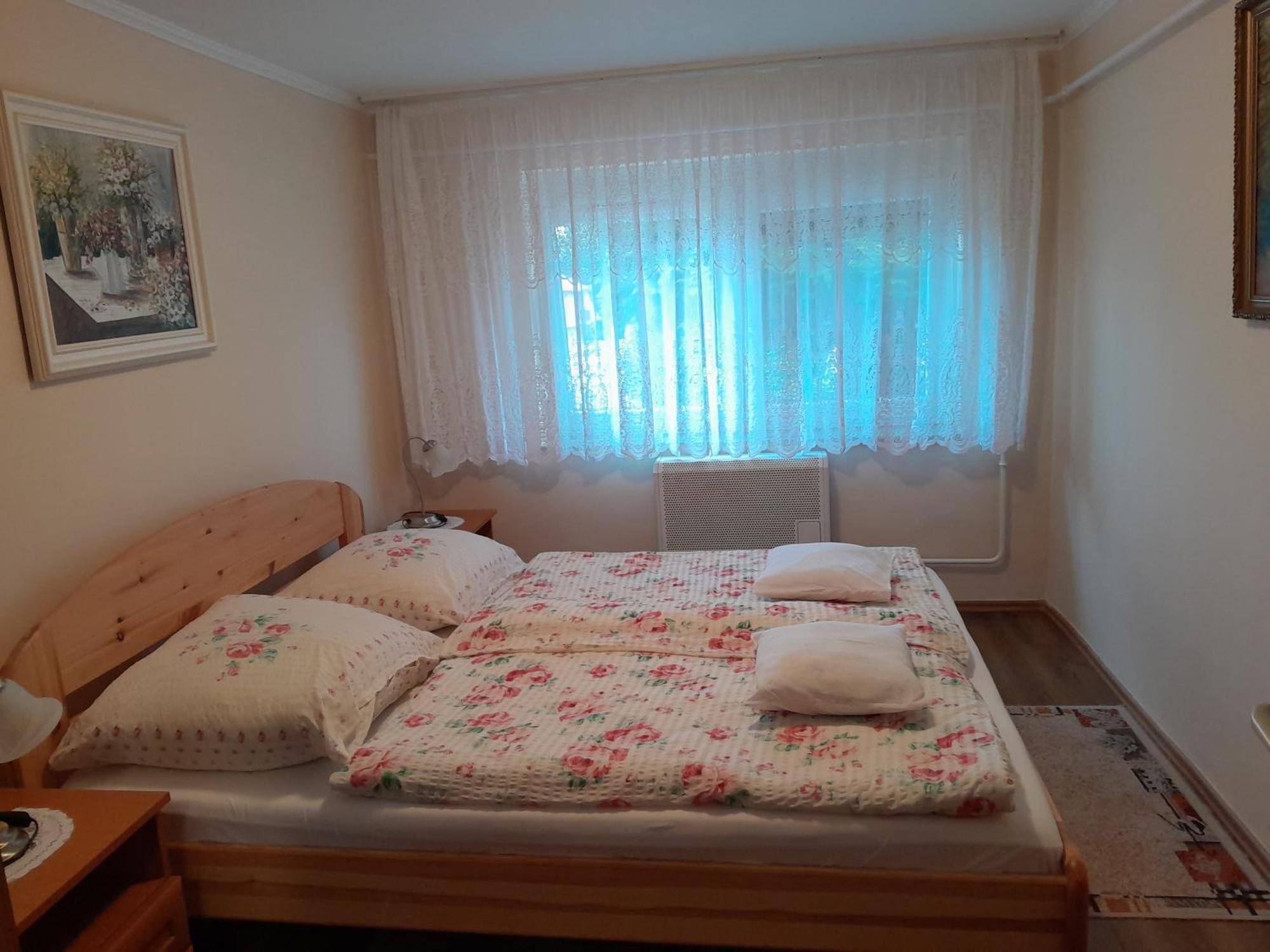 Ildiko Appertements *